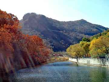 澳门二四六天天彩图库，鱼腥草提取物